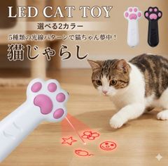 Item thumbnail for item 4e1d6548-0706-46d6-b504-fe26c3fe7a95