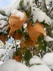 に◯◯ん様専用