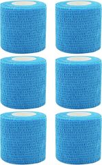 Item thumbnail for item 1ff58f3a-312e-442b-b57b-4e30ff3984dc