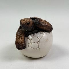 ハニカム構造】ボックスフィッシュ／ハコフグの剥製 - メルカリ