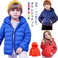 Item thumbnail for item 8ee65683-b64a-45c4-9be8-0a204f50986b