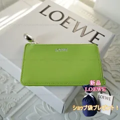 【新品■正規品■送料無料■ギフト包装無料】ロエベぺブル フラグメントケース ロゴCANBZ40X03レディース女性プレゼントギフトショップ袋付き誕生日お祝いクリスマスプレゼント