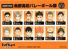 劇場版ハイキュー!!ゴミ捨て場の決戦 来場者特典 古舘春一 選手名鑑風ブロマイド(烏野高校) 第6弾