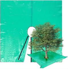 Item thumbnail for item 0a6b8c9a-dcdb-40b4-8019-9a28f265f219