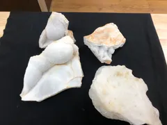 Arizona　Chalcedony/カルセドニー原石