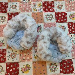 Item thumbnail for item 99e9d07f-98ff-43fa-be53-e402aa61125b