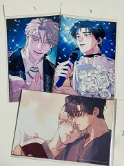 春の木なしプリント写真 未開封 3枚まとめ