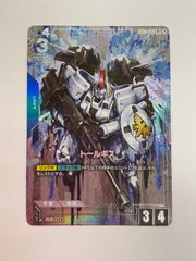 シルヴァ・バレト パラレル R+ - メルカリ