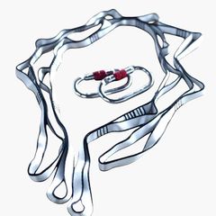 Item thumbnail for item 05d112a8-e8e8-4856-aa2a-986fd8a314d4