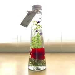 Item thumbnail for item ad9120bb-51a5-4385-8ecb-51837824343b