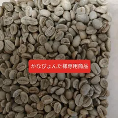 【かなぴょんた様専用商品】