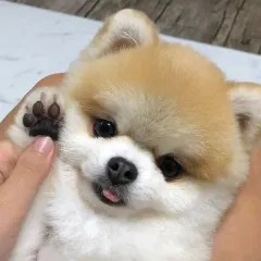 時代人材 26 地球科学I エッジ 1巻