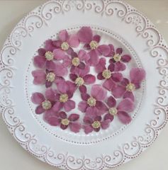 花材✿︎ドライ秋明菊