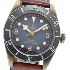 2026年最新】tudor ブラックベイ ベルトの人気アイテム - メルカリ