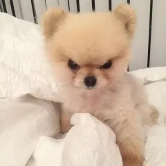 キム・ジュンT コード2 3 化学Ⅰ 商品