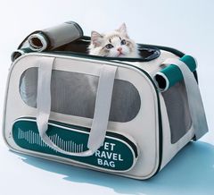 Item thumbnail for item c3374010-78d8-424a-befb-85d04d153cb8