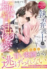 執着弁護士の制御不能な極甘溺愛 (エタニティブックス)／加地アヤメ