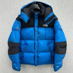 110 THE NORTH FACE ウィンドストッパー メンズ グースダウン ダウン