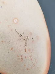 2026年最新】大平一誠 備前の人気アイテム - メルカリ