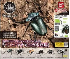 いきもの大図鑑 かぶとむし04 × 全6種セット ※レア含む フルコンプ ガチャガチャ カプセルトイ