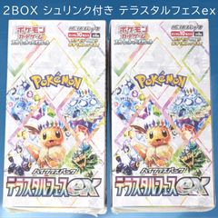 匿名配送 24時間以内発送 新品 2BOX シュリンク付き テラスタルフェス