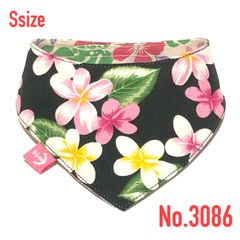 Item thumbnail for item c0b5ae6b-3d3a-492d-9aef-d5214f36cb04