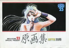 あいどる SETTEI別冊 メガゾーン23 SPECIAL PRESENT 原画集