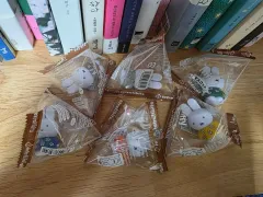 ミッフィー フラワー テトラ フィビッツ