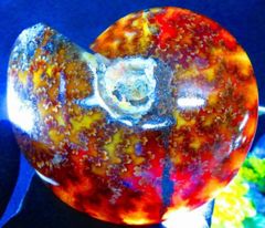根尾菊花石 青緑に覆輪花 水石 美石 鑑賞石 紋様石 盆栽 - メルカリ