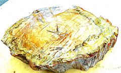 ★アゲート原石★糸魚川瑪瑙【横川・転石・川ズレ・ウブ3.3kg】 ☆アゲート原石☆糸魚川瑪瑙【横川・転石・川ズレ・ウブ3.3kg】 - メルカリ