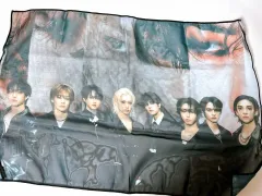 Stray Kids(ストレイキッズ・スキズ・SKZ) スキズ シフォン ポスター ate グッズ 出品