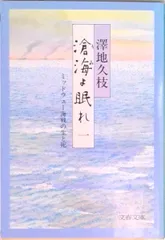 滄海（うみ）よ眠れ ミッドウェ-海戦の生と死 １/文藝春秋/沢地久枝（文庫）