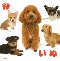 いぬ /ポプラ社/小川晃代(単行本)