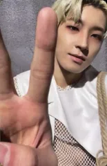 【中古】コレクションカード(男性) SEVENTEEN/WONWOO(ウォヌ)/裏面グレー/CD「Face the Sun」(ep.2 Shadow)封入特典フォトカード