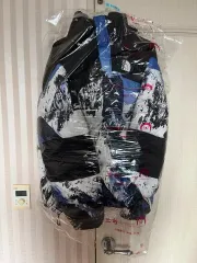 Supreme THE NORTH FACE ザノースフェイス 雪山 ダウン L