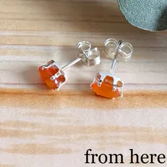 《天然石》ファセットカット〔オーバル〕ピアス 【カーネリアン/SV925】