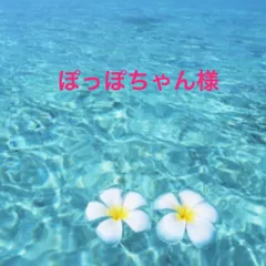 ぽっぽちゃん様　専用です。