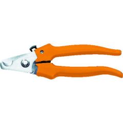 Item thumbnail for item acf5f2c9-176d-4551-b62f-e80507bbd535