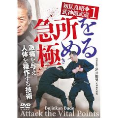 中古DVD太極拳基本練功中国武術健康運動練習実践茂呂隆指導基礎体得