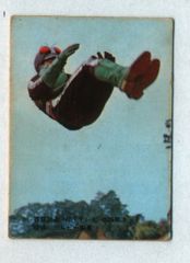 新明朝　旧カルビー　仮面ライダーカード　No.125 125 旧カルビー仮面ライダーカード No.125 新明朝 美下品 | 旧カルビー