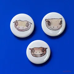 缶バッジ 32mm　クレステッドゲッコーの正面顔1（3個セット）