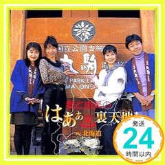 天地無用！ 折笠愛 8cm8センチシングルCD 2枚セット - メルカリ