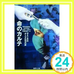 命のカルテ アメリカのナースたちの声 (集英社文庫) エコー・ヘロン; 中井 京子_02
