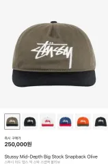 STUSSY ミッドデプス ビッグストック スナップバック オリーブ