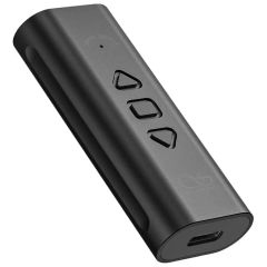 Item thumbnail for item e9954f77-405b-4e21-8370-bb14e0038ec2