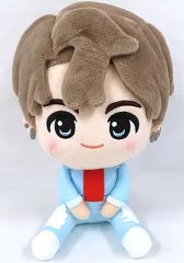 [중고] 봉제인형 종국(BTS/방탄소년단) 봉제인형 [이치반쿠지 TinyTAN DNA] Jung Kook상