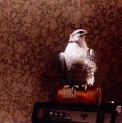 【中古】輸入洋楽CD a.c. cotton / notes for the conversation[輸入盤]