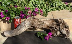 Item thumbnail for item 124b8936-51f8-464b-867e-233a09833252