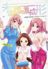 【中古】アニメムック ≪アニメ・漫画系書籍≫ 未確認で集成形 -未確認で進行形 イラストレーションズ