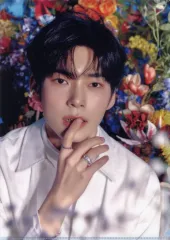 【中古】クリアファイル ソン・ハンビン(ZEROBASEONE) オリジナル・A4クリアファイル 「CD ゆらゆら -運命の花-」 Sony Music Shop購入特典